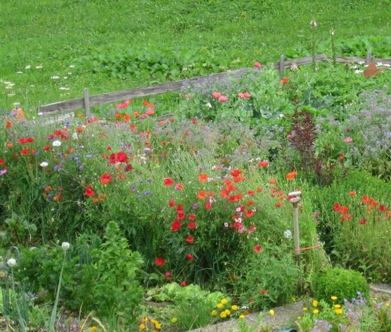 Familienexerzitien2026